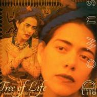 Tree of life: a'rbol de la vida - yutu tata