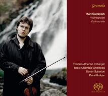Concerto per violino op.28, sonata per v