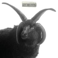 The cult (Vinile)