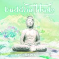 Buddhattitude - hymalaya