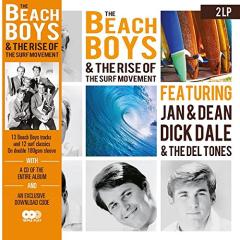Beach boys & ..the rise  of the surf mov (Vinile)