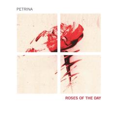 Roses of the day