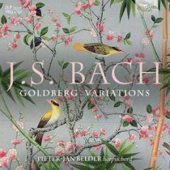 Variazioni goldberg bwv 988 (Vinile)