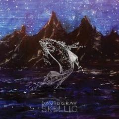 Skellig (Vinile)