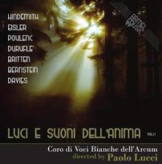 Luci e suoni dell'anima vol.2 (super jewell box)