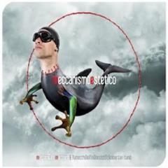 Meccanismo estetico