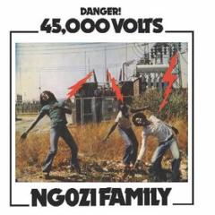 45,000 volts (Vinile)