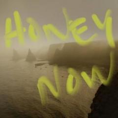 Honey now (Vinile)