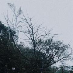 Rain (180 gr. vinyl smoke green limited edt.) (Vinile)
