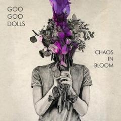 Chaos in bloom