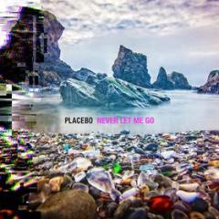 Never let me go (Vinile)