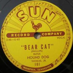 Bear cat / walking in the rain (sun reco (Vinile)