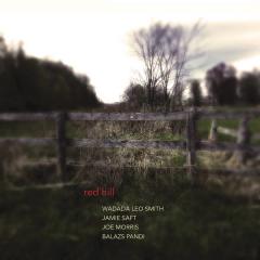 Red hill (Vinile)
