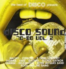 Disco sound 70-80 vol.2