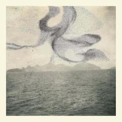 A small murmuration