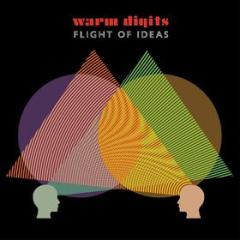 Flight of ideas (Vinile)