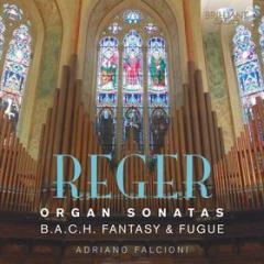 Sonate per organo (nn.1 e 2), fantasia e