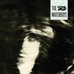 The waterboys (Vinile)