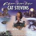 Remember-ultimate collection