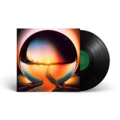 Neon pill - lp black (Vinile)