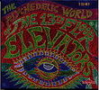 The psychedelic world of