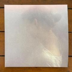 Favourite artists-my dear 3lp (Vinile)