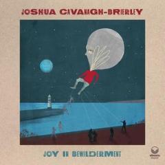 Joy in bewilderment
