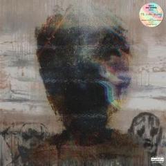 The hidden painting (Vinile)