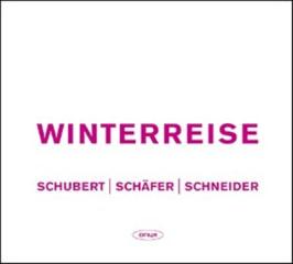 Winterreise d 911 op 89 (viaggio d'inver