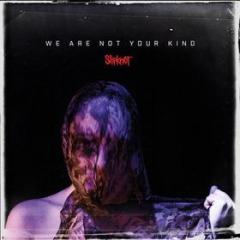 We are not your kind (limited edt.) (Vinile)