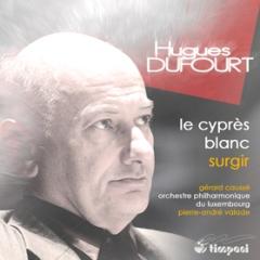 Le cypr s blanc