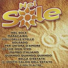 Nel sole