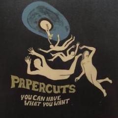 You can have what you want (Vinile)
