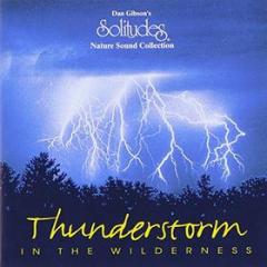 Solitudes: thunderstorm in the wilderness