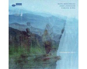 Openness trio (Vinile)
