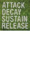 Attack decay sustain release
