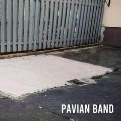 Pavian band