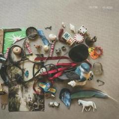Villagers - coke bottle clear vinyl (Vinile)