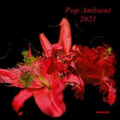 Pop ambient 2021 various artists cd