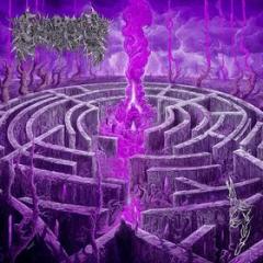 Maze anvy - purple / magenta merge (Vinile)