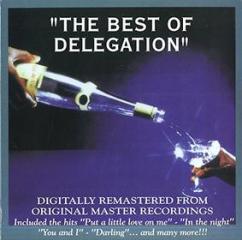 The best of delegation (Vinile)