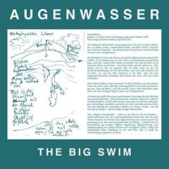 Big swim (Vinile)