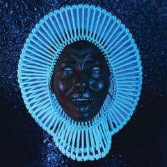 Awaken my love (standard) (Vinile)