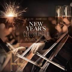 New year's celebration (180 gr. hq. vinyl black) (Vinile)
