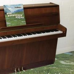 The sophtware slump on a wooden piano [i (Vinile)