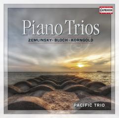 Trio per pianoforte, violino e violoncel