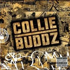 Collie buddz