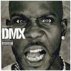 The best of dmx