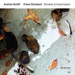 Sonatas & impromptus