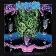 Reared up in spectral predation